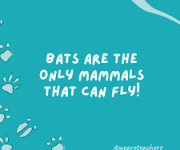10 amazing facts about animals